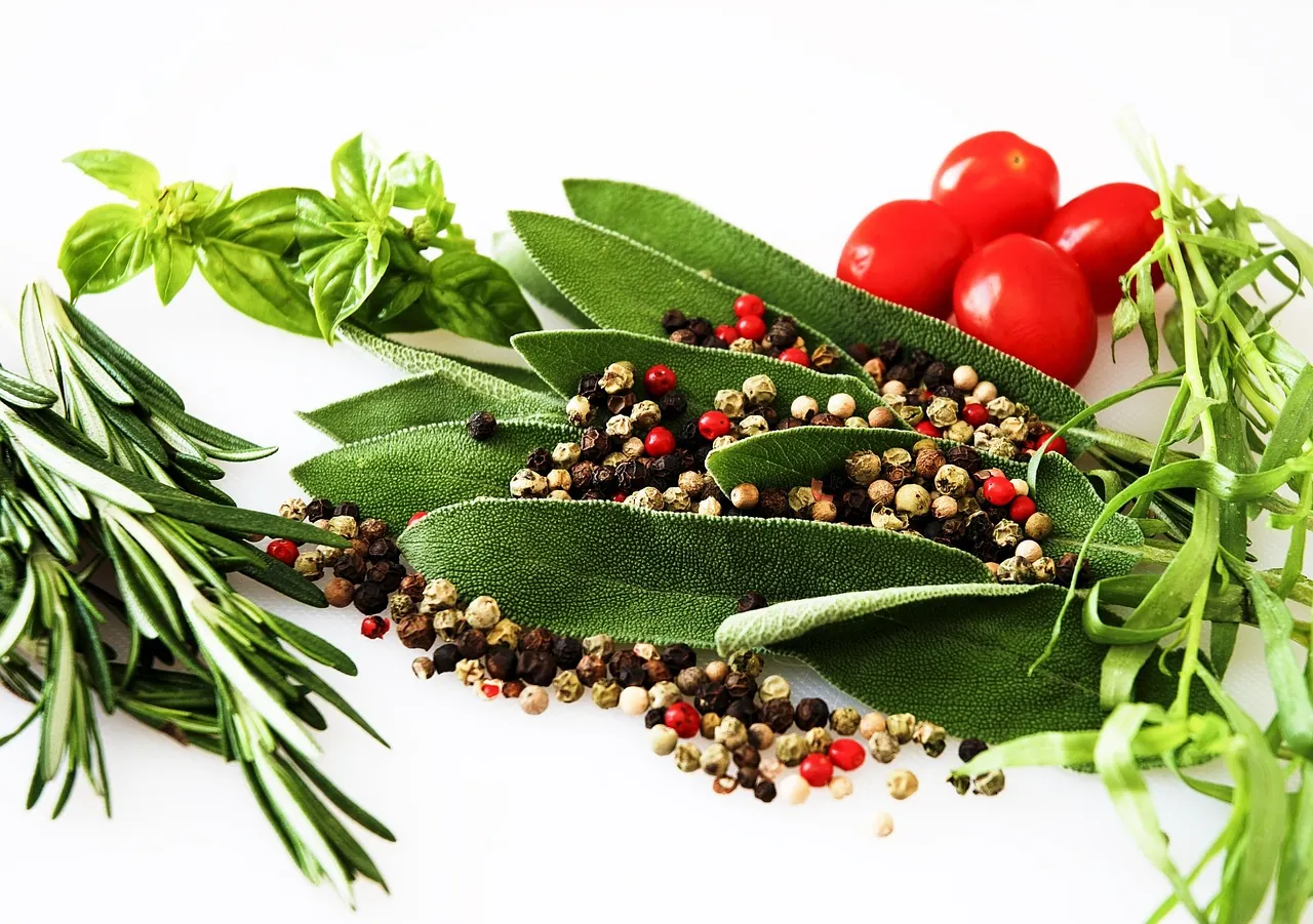 Herbes aromatiques, grains de poivre et tomates sur un fond clair